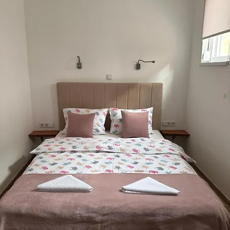 فندق مبيت وإفطار Ravne Energy فيسوكو